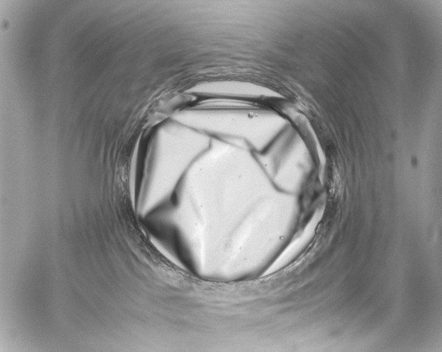 X0000059090045200511041859