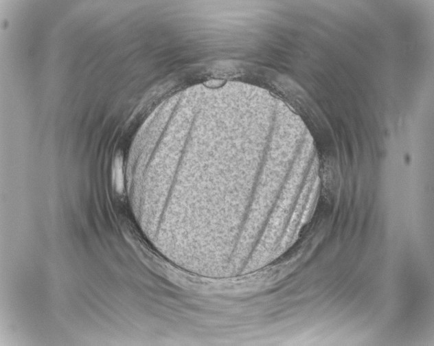 X0000059090046200511041859