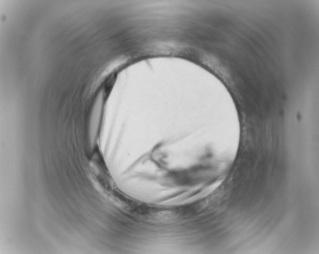 X0000059090058200511041858