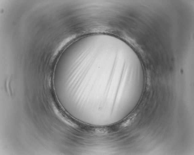 X0000059090060200511041858