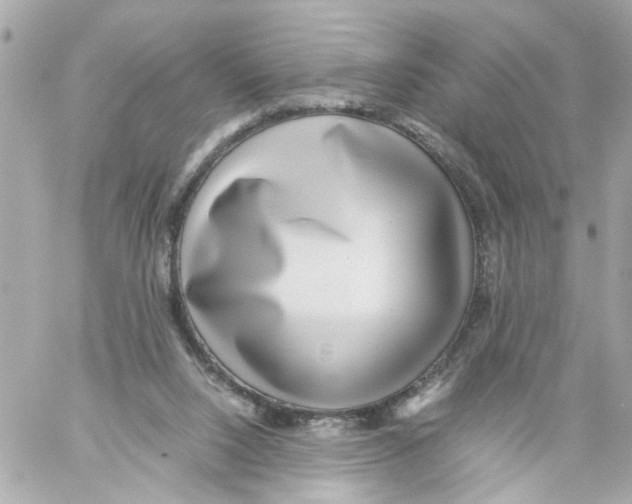 X0000059090064200511041858