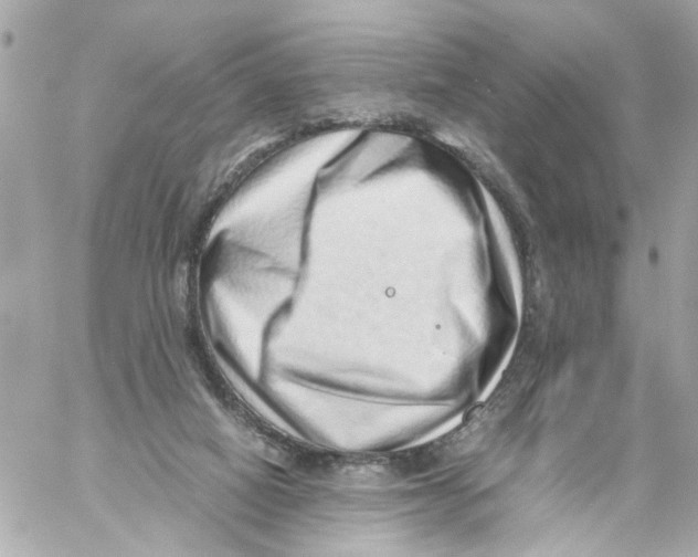 X0000059090066200511041858