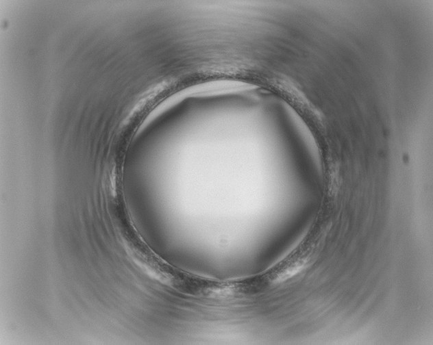 X0000059090068200511041858
