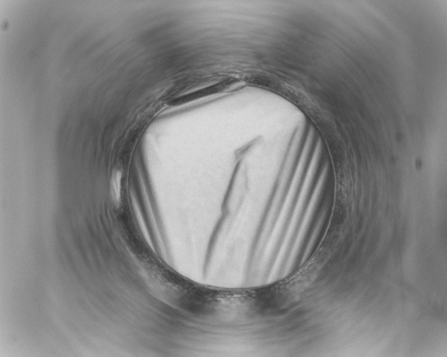 X0000059090070200511041858