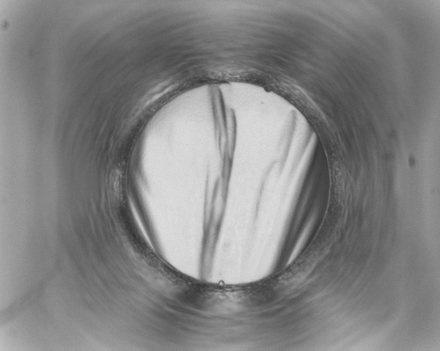 X0000059090071200511041858