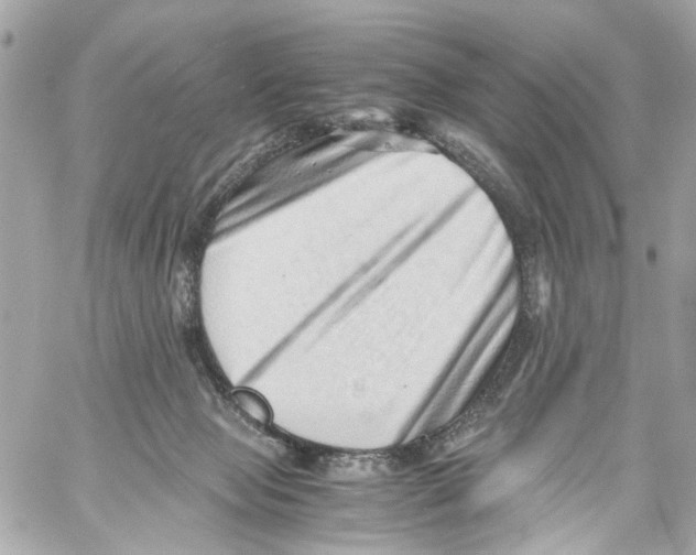 X0000059090077200511041858