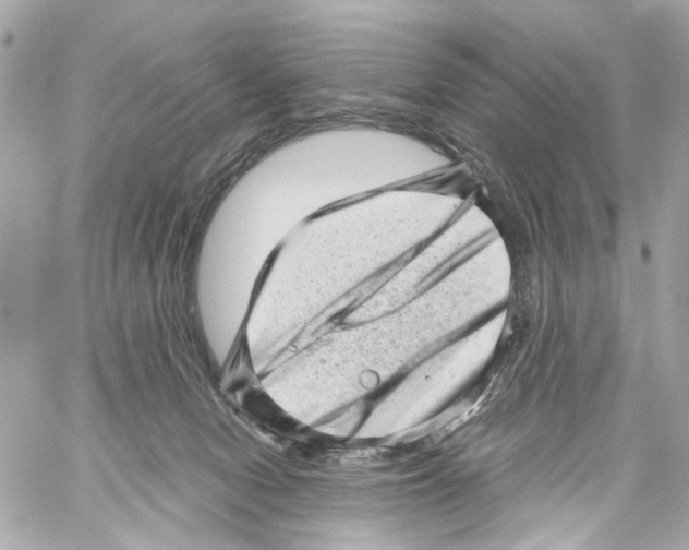X0000059090078200511041858