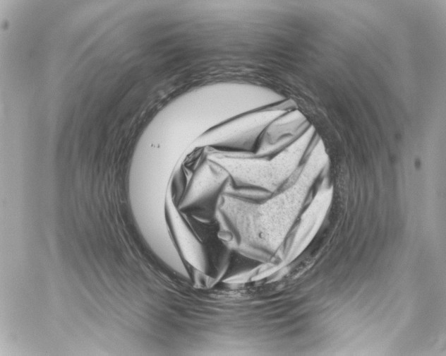 X0000059090079200511041858