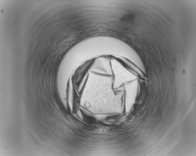 X0000059090080200511041858
