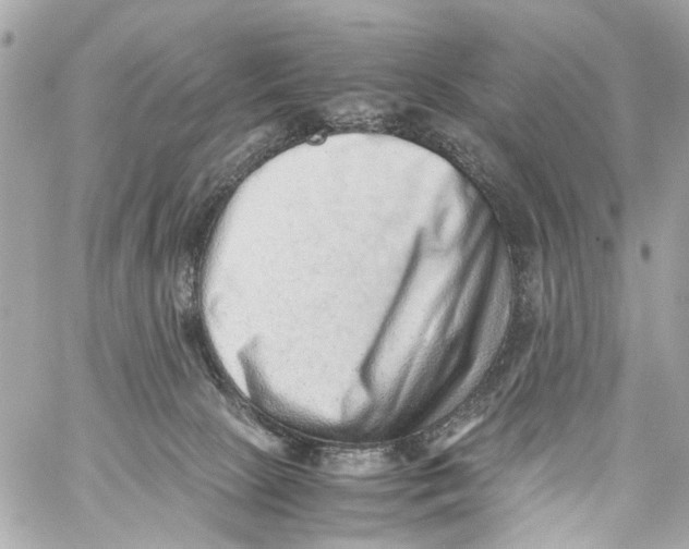 X0000059090081200511041858