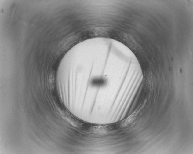X0000059090082200511041858
