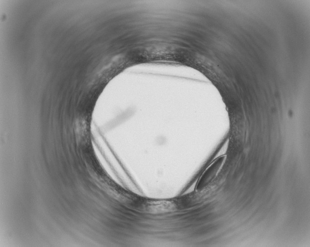 X0000059090087200511041858