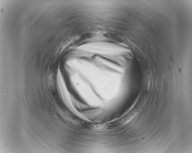 X0000059090088200511041858