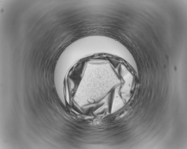X0000059090091200511041858