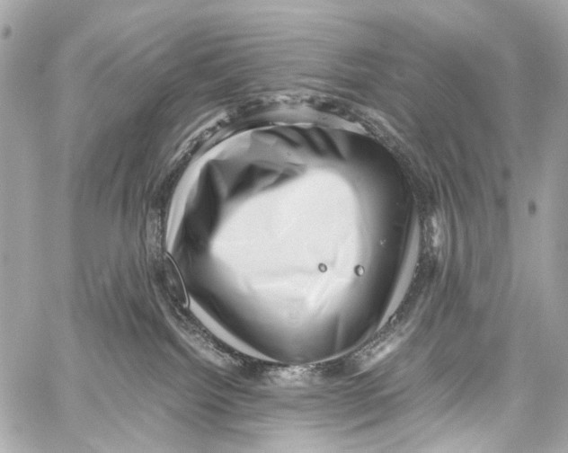 X0000059090092200511041858