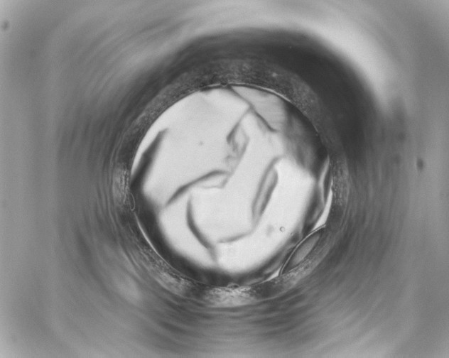 X0000059090093200511041858