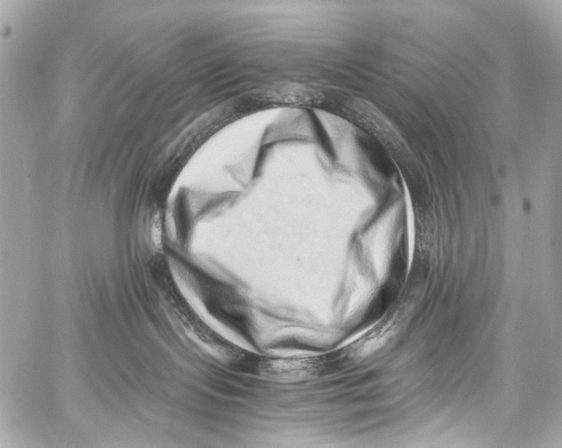 X0000059090095200511041859