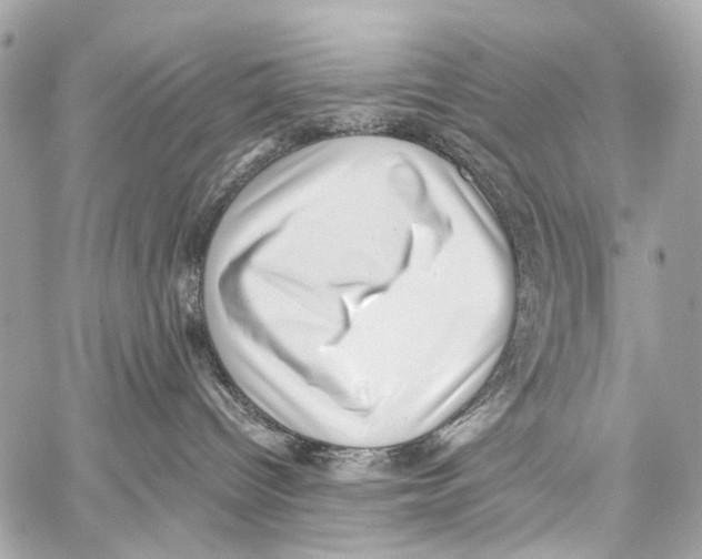 X0000059090096200511041859