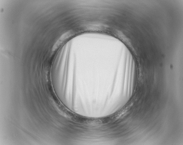 X0000059090106200511041858
