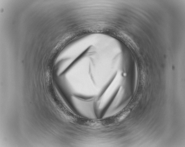 X0000059090113200511041857