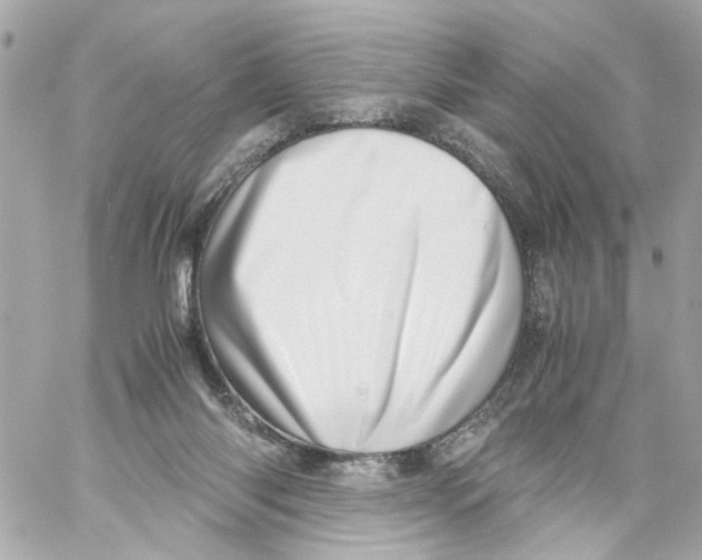 X0000059090118200511041857