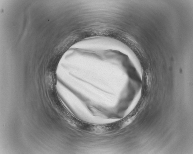 X0000059090121200511041857