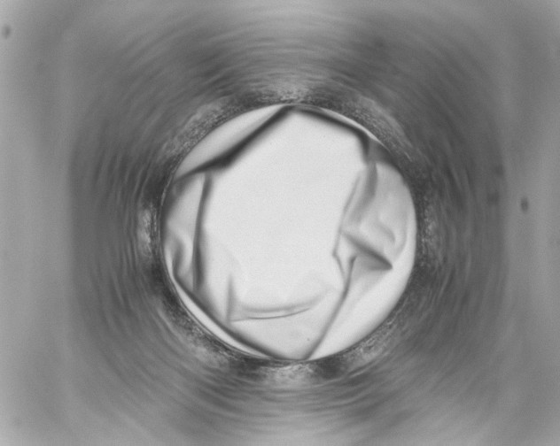 X0000059090122200511041857