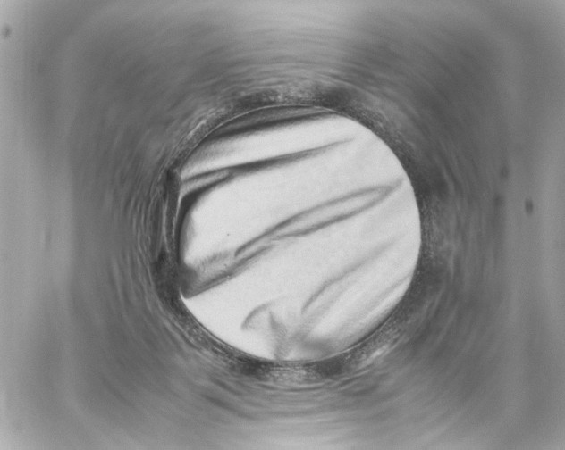 X0000059090123200511041857