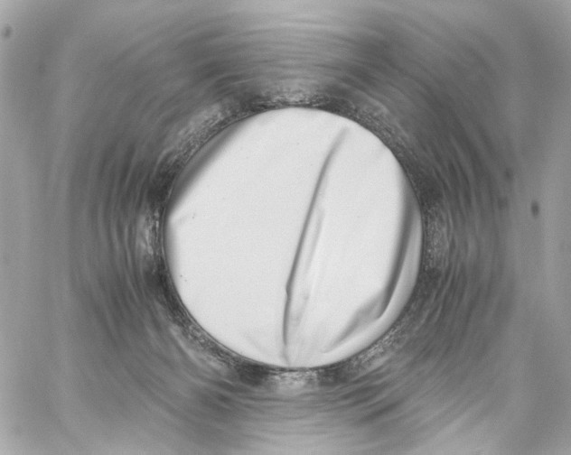 X0000059090126200511041857