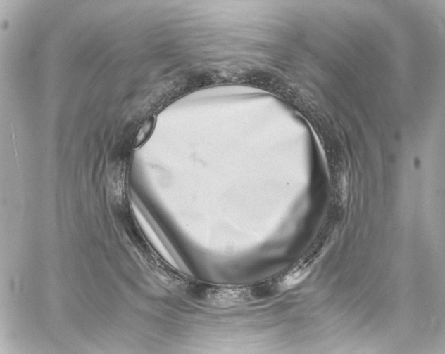 X0000059090129200511041857