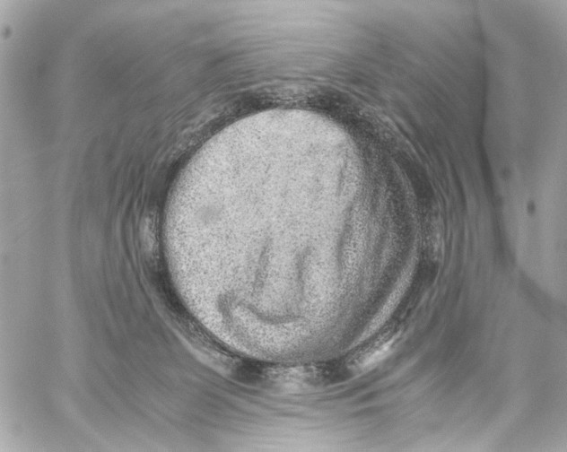 X0000059090131200511041857