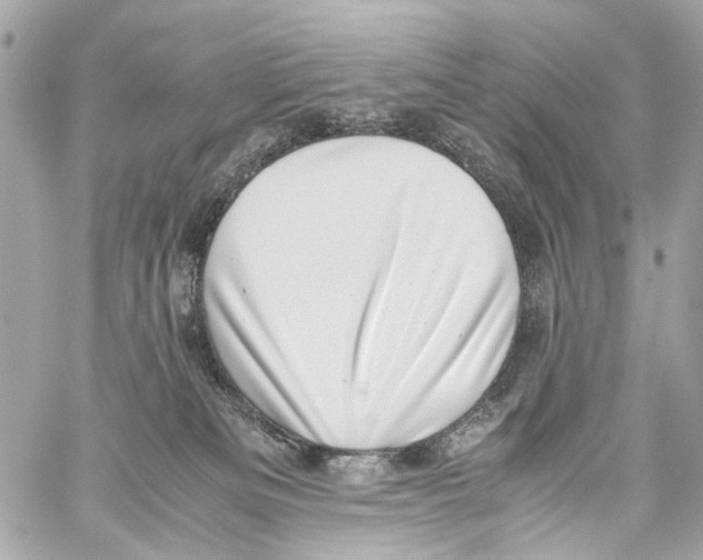 X0000059090133200511041857