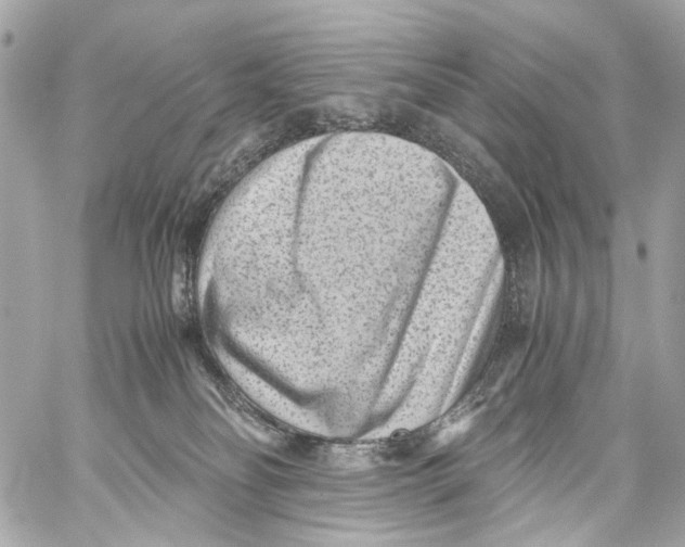 X0000059090134200511041857
