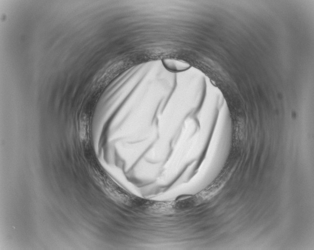 X0000059090138200511041857