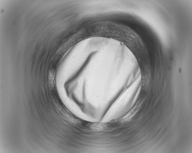 X0000059090142200511041857