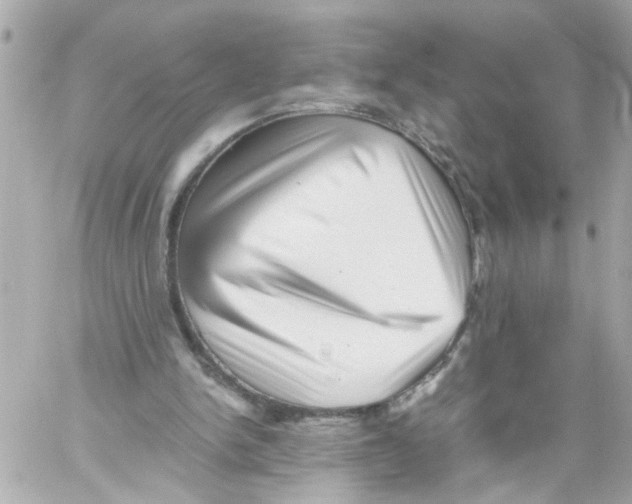 X0000059090150200511041856