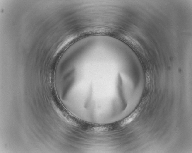 X0000059090158200511041856