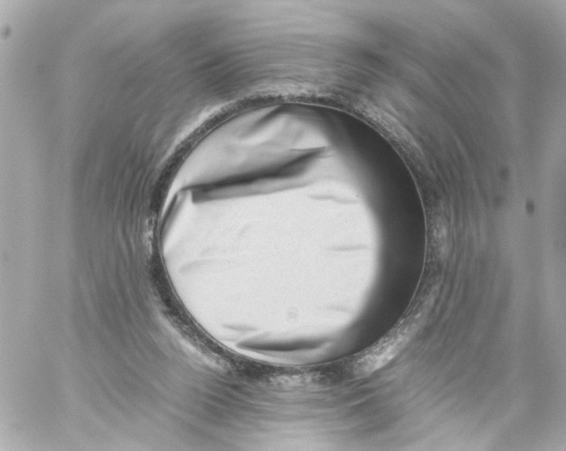 X0000059090160200511041856