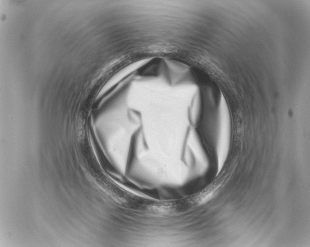 X0000059090164200511041856