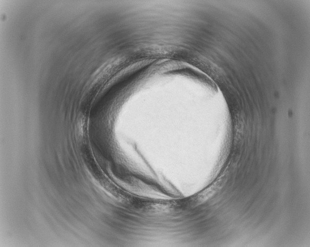 X0000059090166200511041857