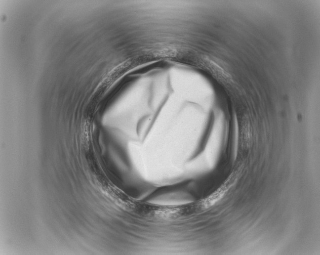 X0000059090172200511041857