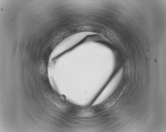 X0000059090173200511041857