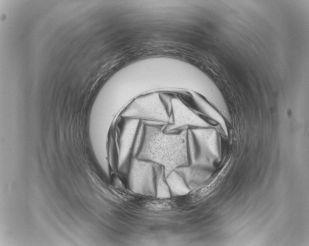 X0000059090175200511041857