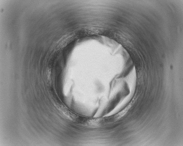 X0000059090178200511041857