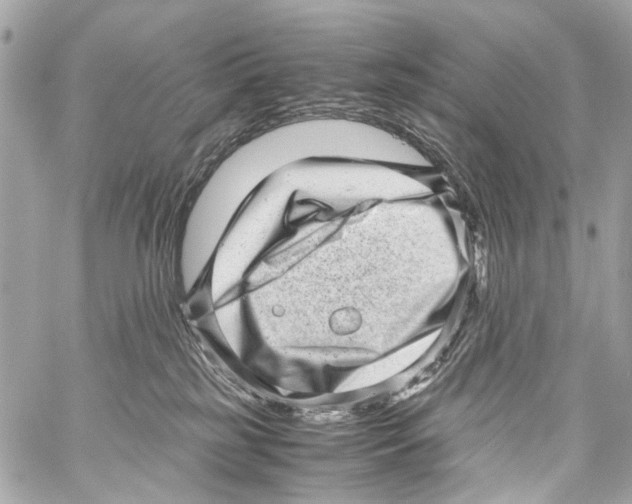 X0000059090185200511041857