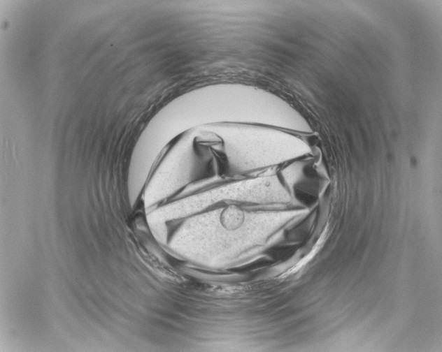 X0000059090186200511041857