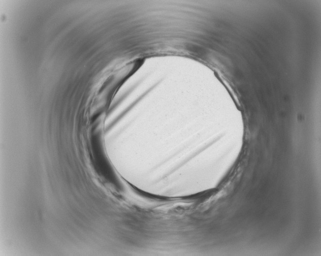 X0000059090193200511041856