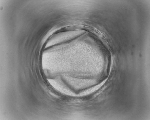X0000059090195200511041856