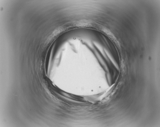 X0000059090201200511041856