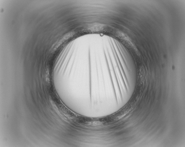 X0000059090212200511041856
